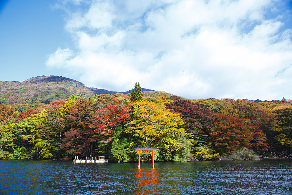 Hakone Shrine