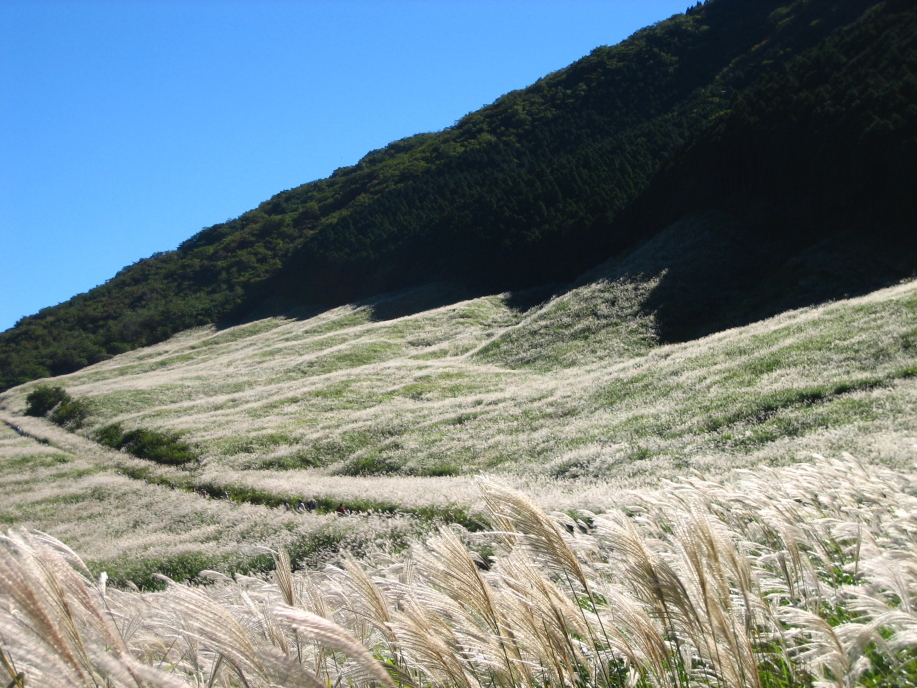 Sengokuhara Grasslands